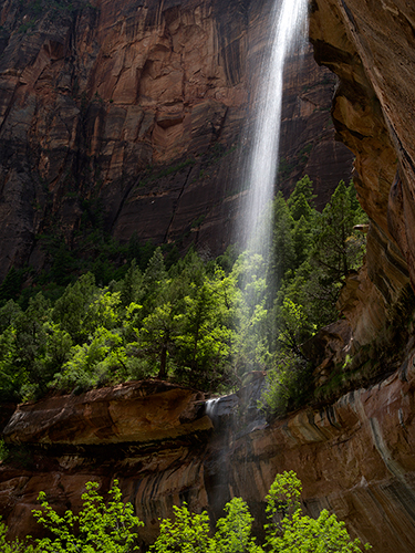 IGP6737 - Falls at Lower Emerald Pool, Zion NP